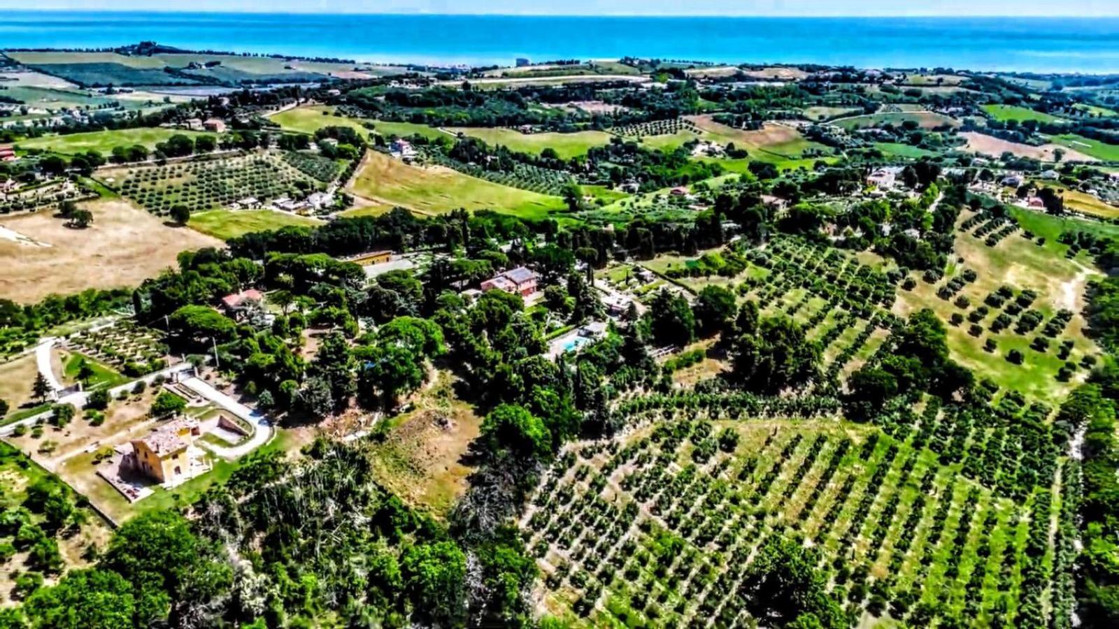 Villa Silvio Civitanova Alta Екстериор снимка